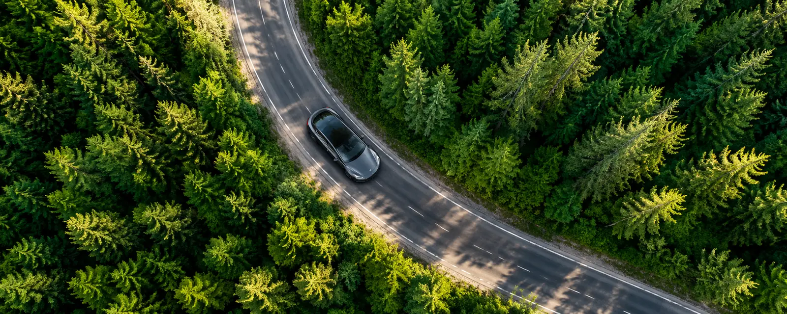 Voiture électrique sur une route en forêt, vue du ciel
